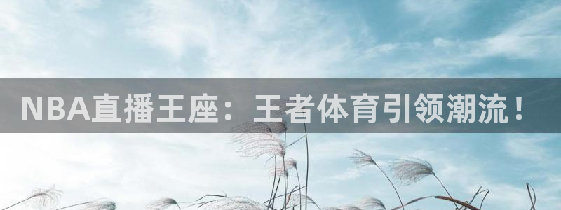 NBA直播王座：王者体育引领潮流！